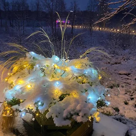 Neitsijaerve Majutus *