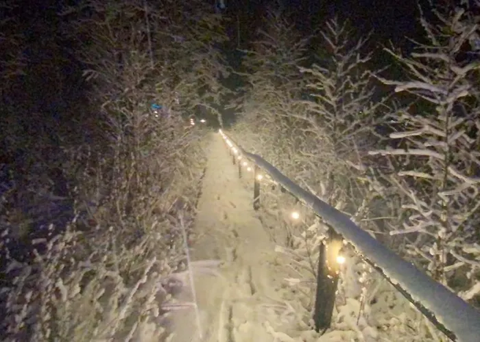 Neitsijaerve Majutus * Otepää