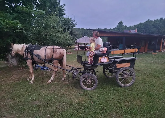 Neitsijaerve Majutus Gæstehus *